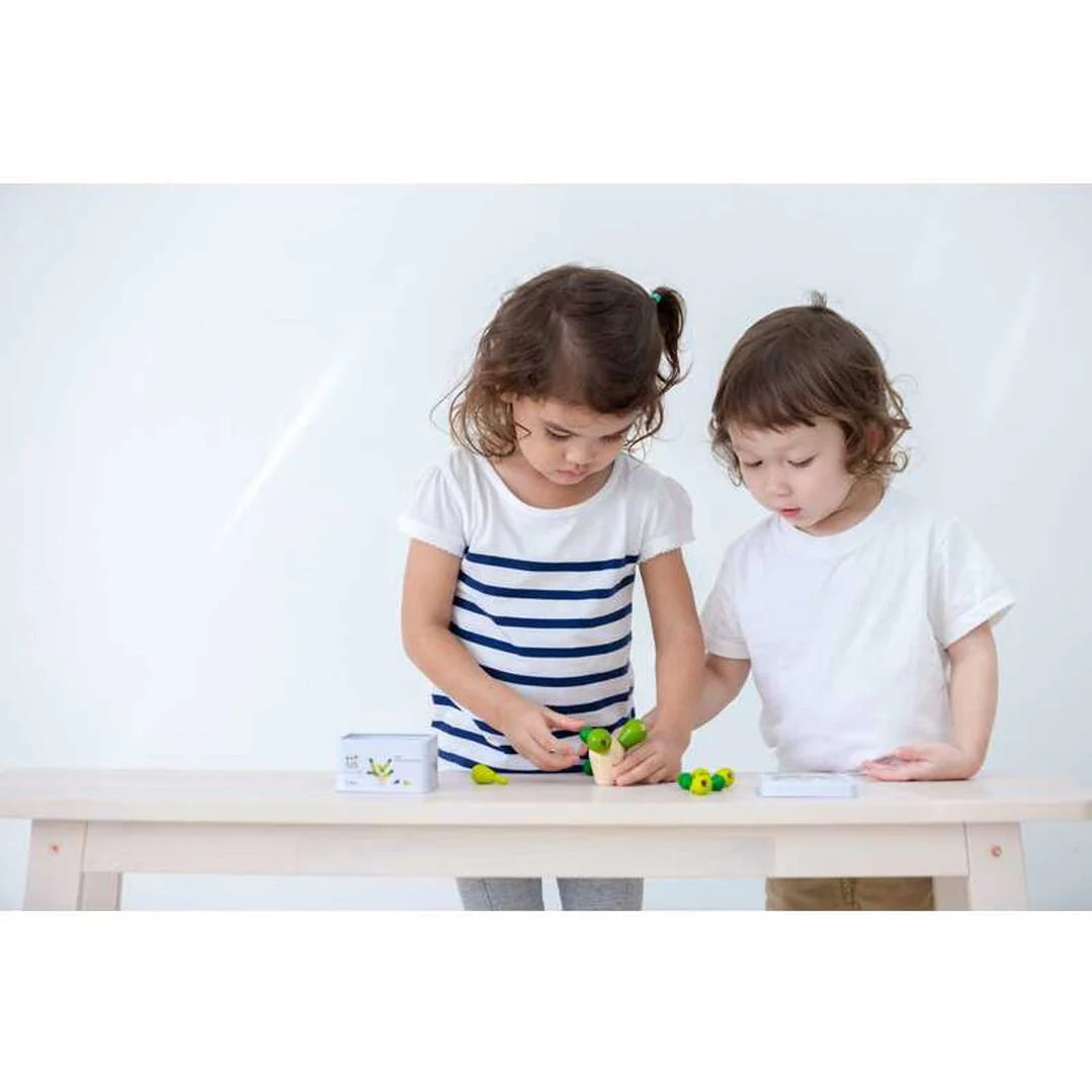 PlanToys Balancing Cactus Mini Toys 