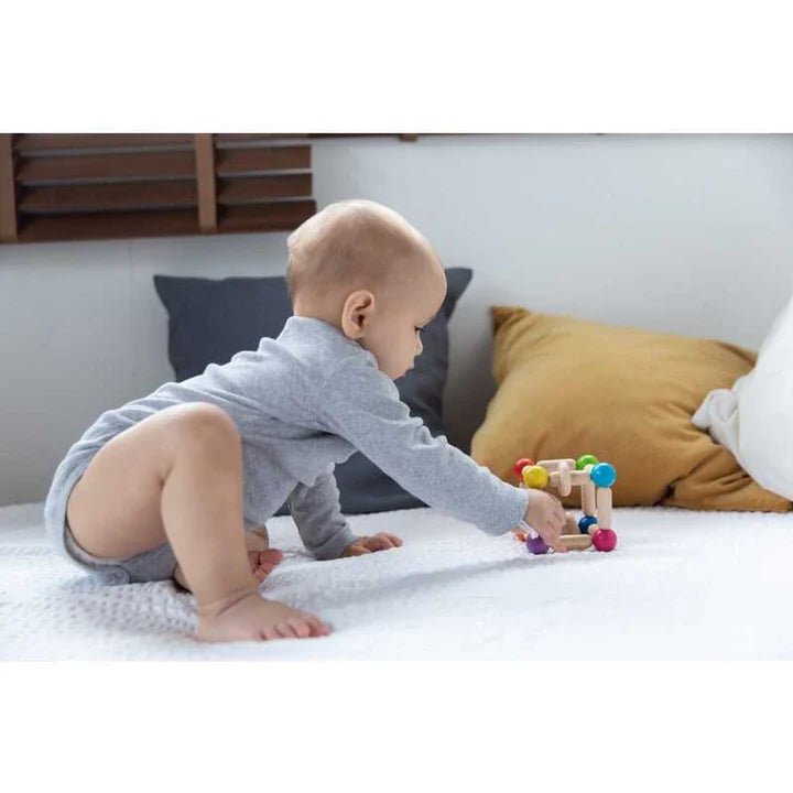 PlanToys - PlanToys Clutching Toy Bundle