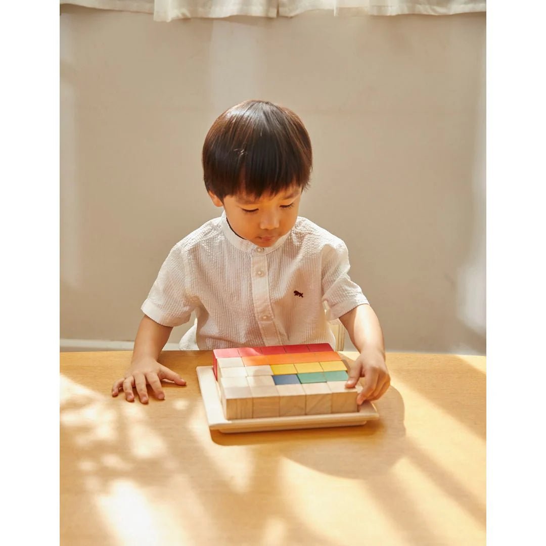 PlanToys - PlanToys Colored Counting Blocks