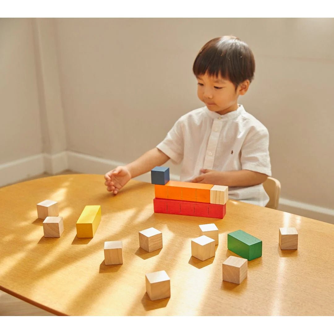 PlanToys - PlanToys Colored Counting Blocks
