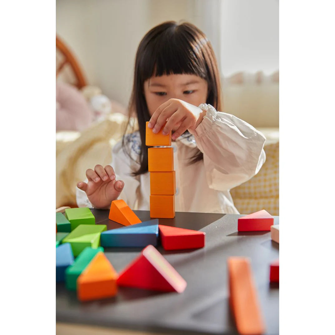 PlanToys Fraction Blocks - Unit Plus Toys 