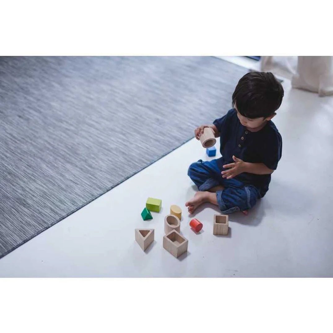 PlanToys - PlanToys Geo Matching Blocks