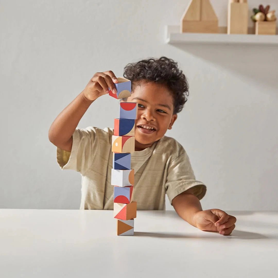 PlanToys - PlanToys Geo Pattern Cubes