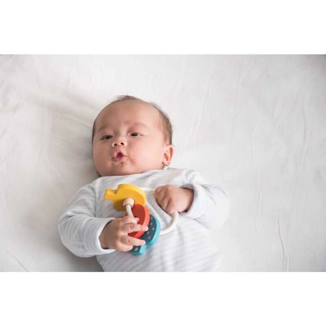 PlanToys - PlanToys Key Rattle