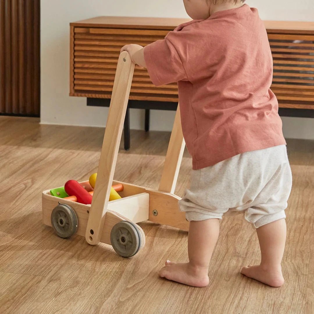 PlanToys - PlanToys Musical Bird Walker