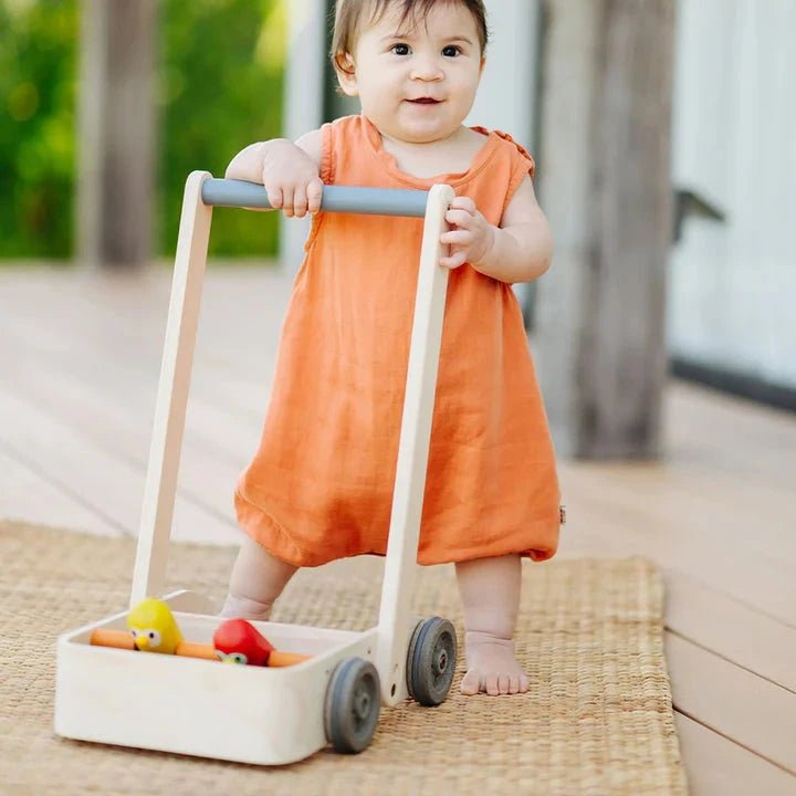PlanToys - PlanToys Musical Bird Walker
