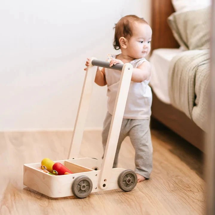 PlanToys - PlanToys Musical Bird Walker