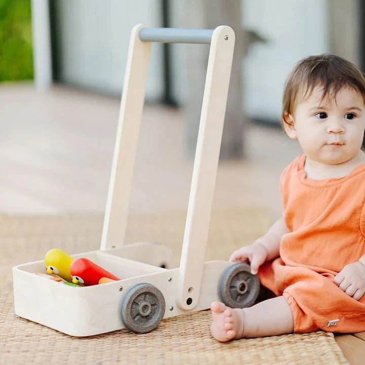 PlanToys - PlanToys Musical Bird Walker