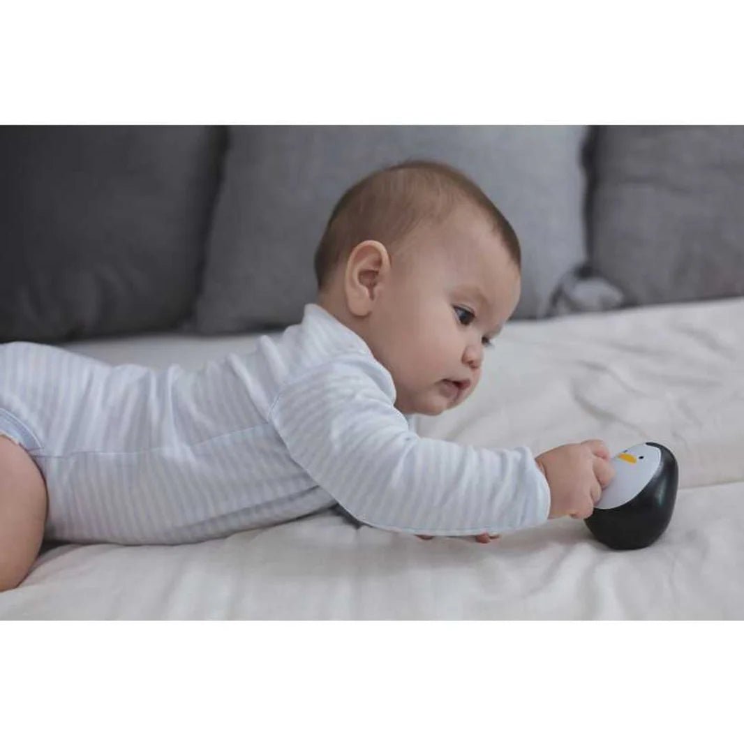PlanToys - PlanToys Penguin Wobbler
