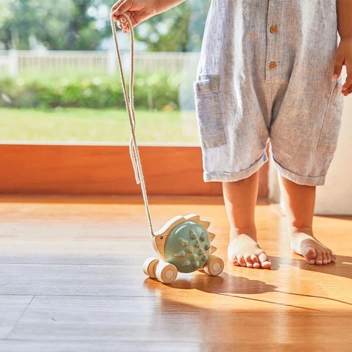 PlanToys - Plantoys Pull - Along Hedgehog