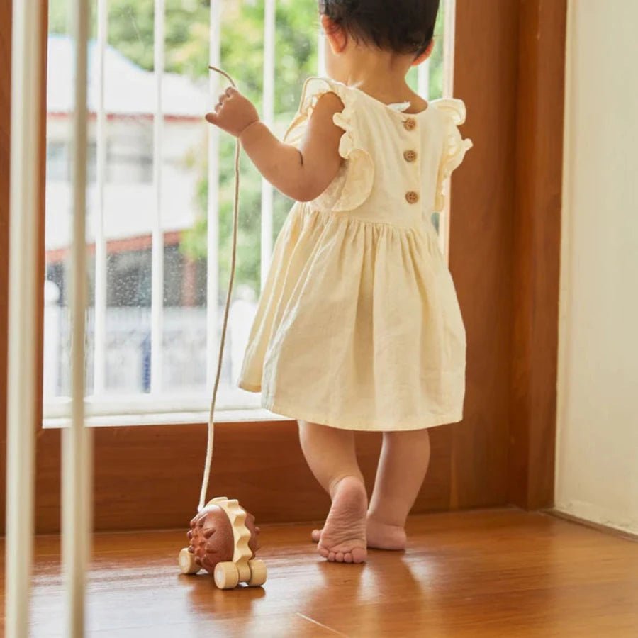 PlanToys - Plantoys Pull - Along Hedgehog