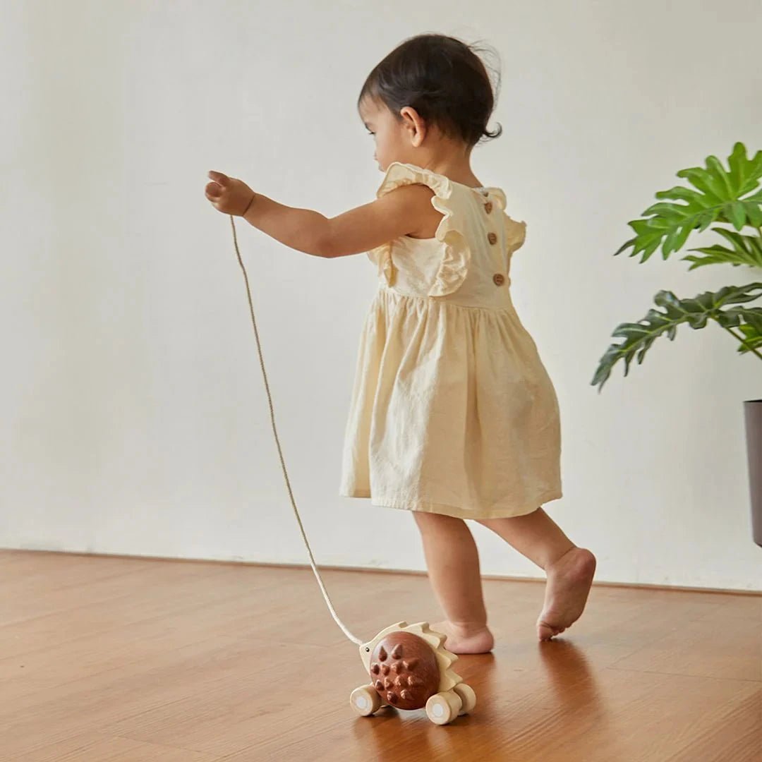 PlanToys - Plantoys Pull - Along Hedgehog