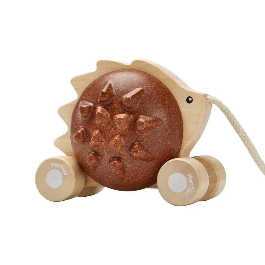 PlanToys - Plantoys Pull - Along Hedgehog