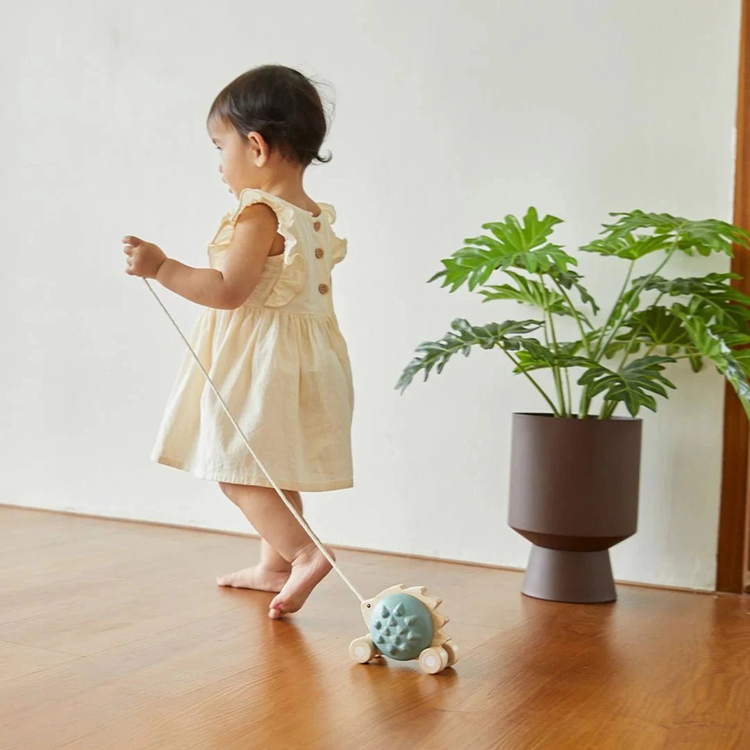 PlanToys - Plantoys Pull - Along Hedgehog