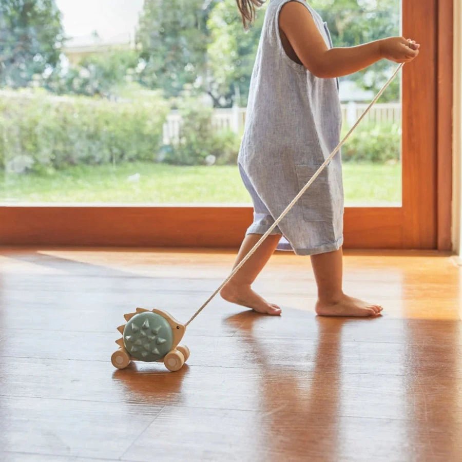 PlanToys - Plantoys Pull - Along Hedgehog
