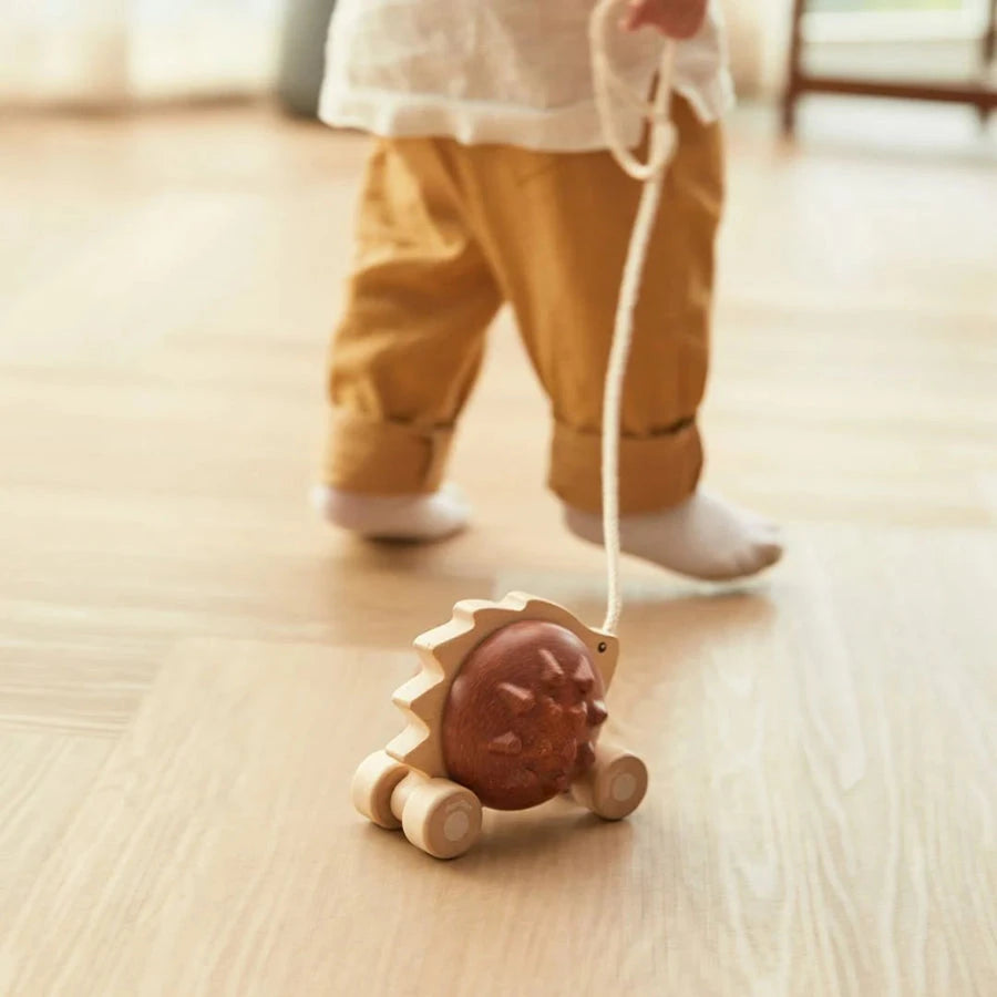 Plantoys Pull-Along Hedgehog Toys 