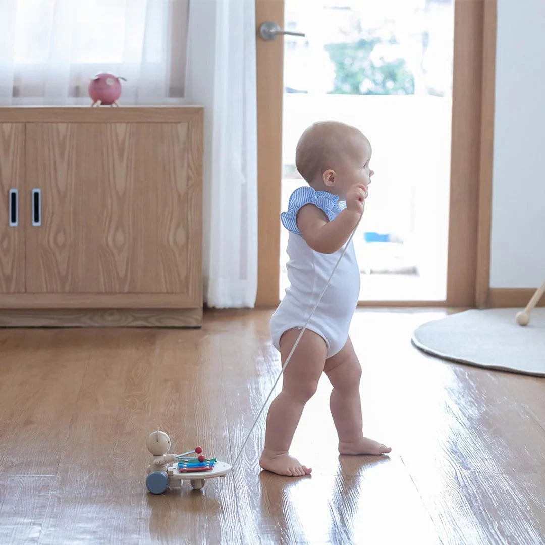 PlanToys Pull Along Musical Bear Toys 