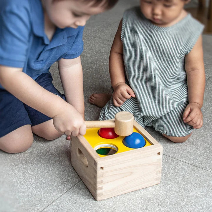 PlanToys Punch & Drop 