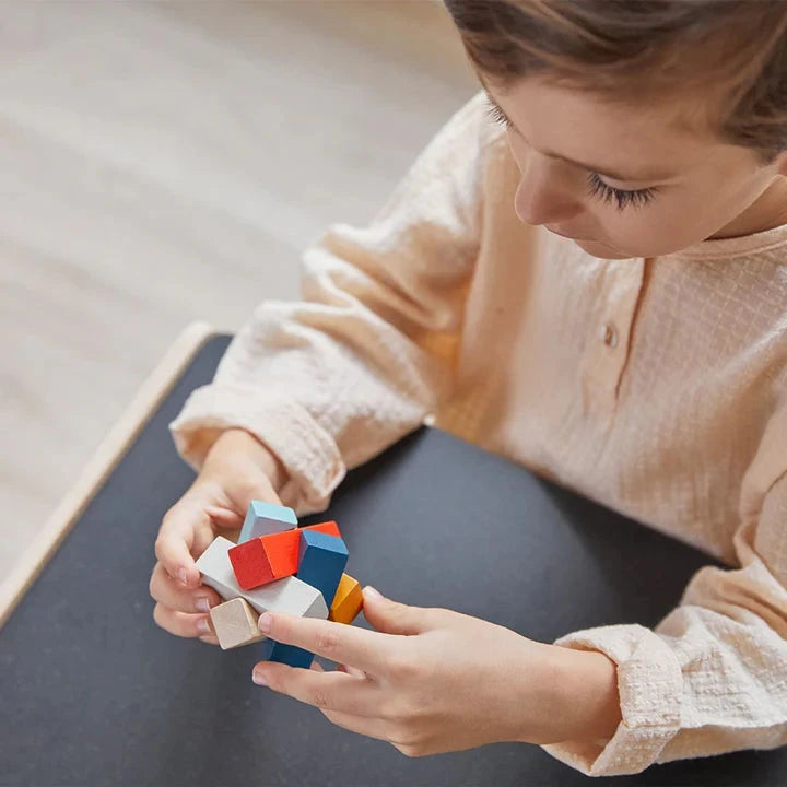 PlanToys Rectangular Puzzle Toys 