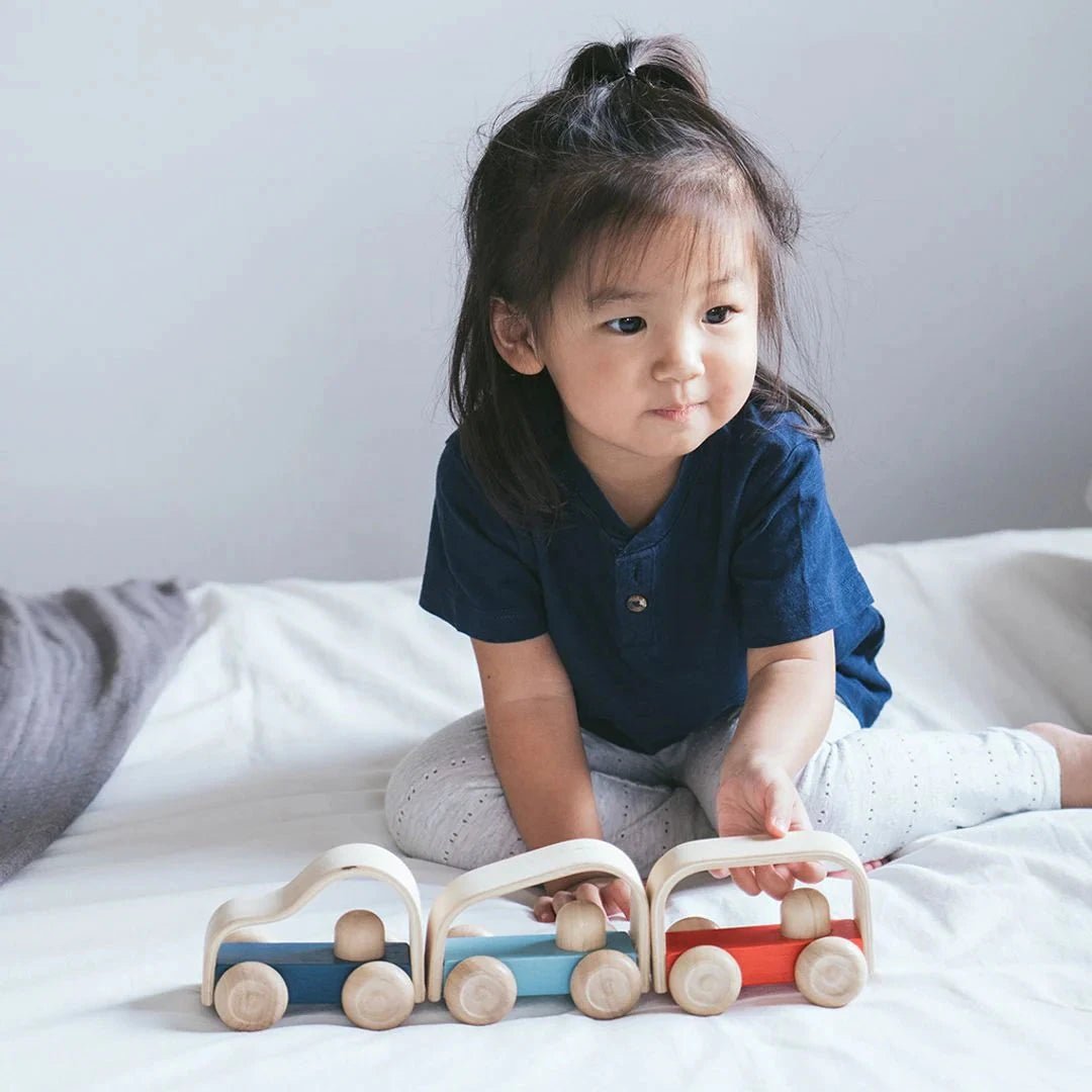 PlanToys - PlanToys Vroom Truck