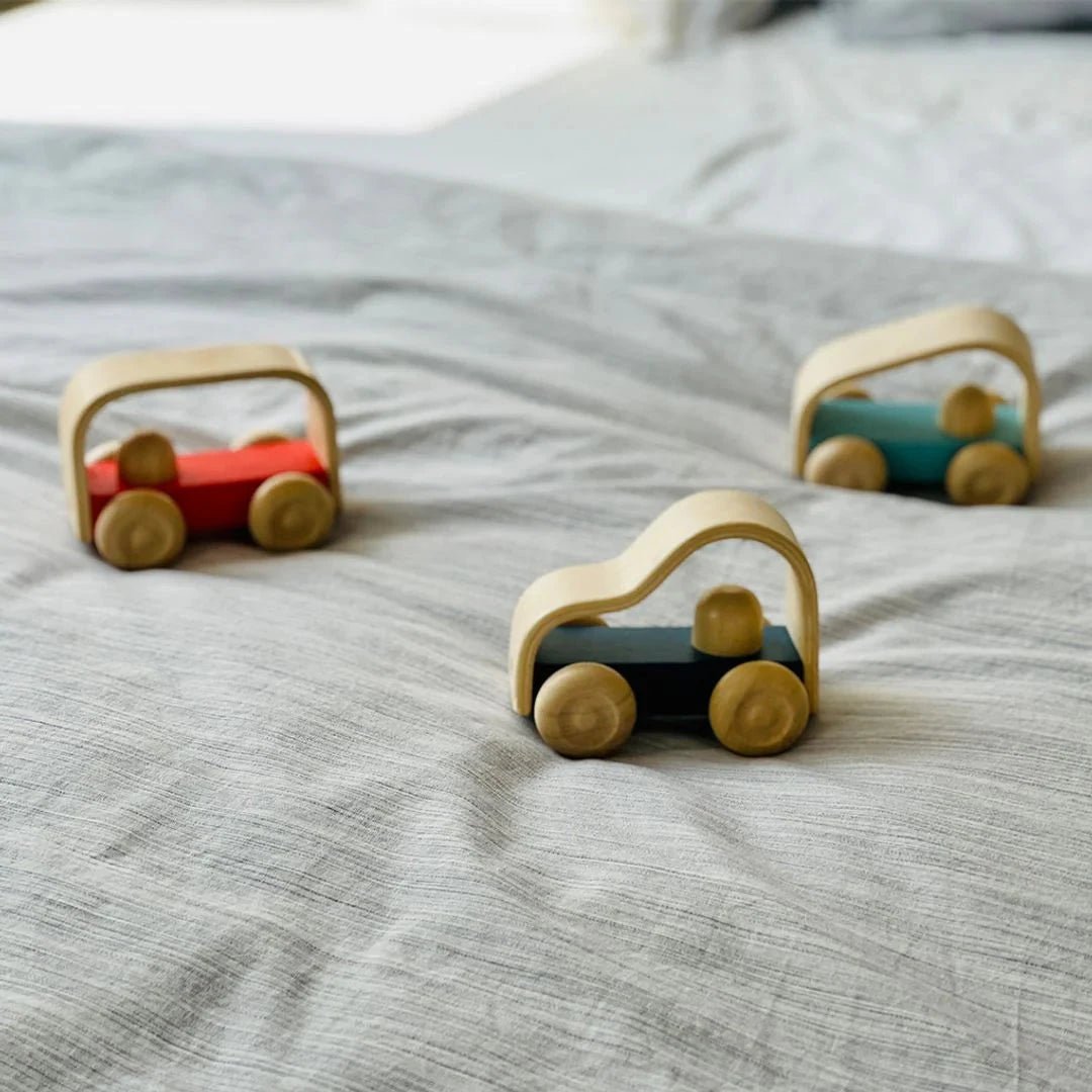 PlanToys - PlanToys Vroom Truck