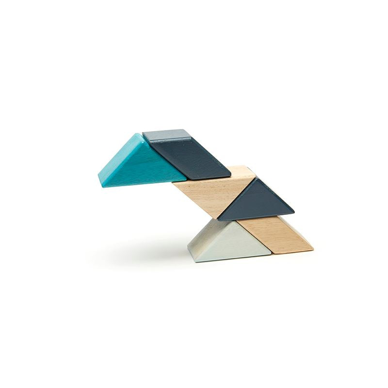 Pocket Pouch Prism <br>Magnetic Wooden Blocks <br>6 pieces 
