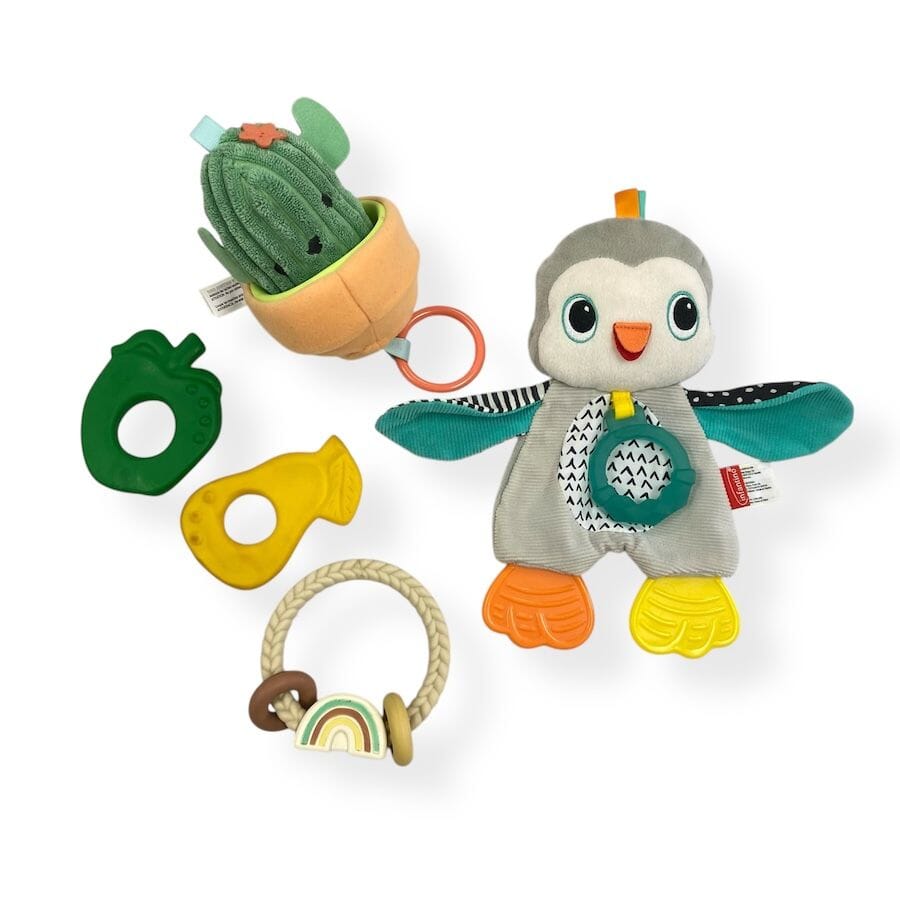 Mixed - Sensory Teether Bundle with Cactus
