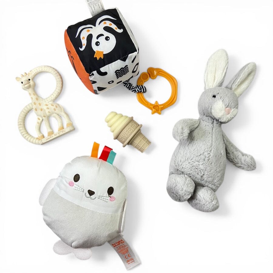 Soft Plush and Teether Bundle Toys 