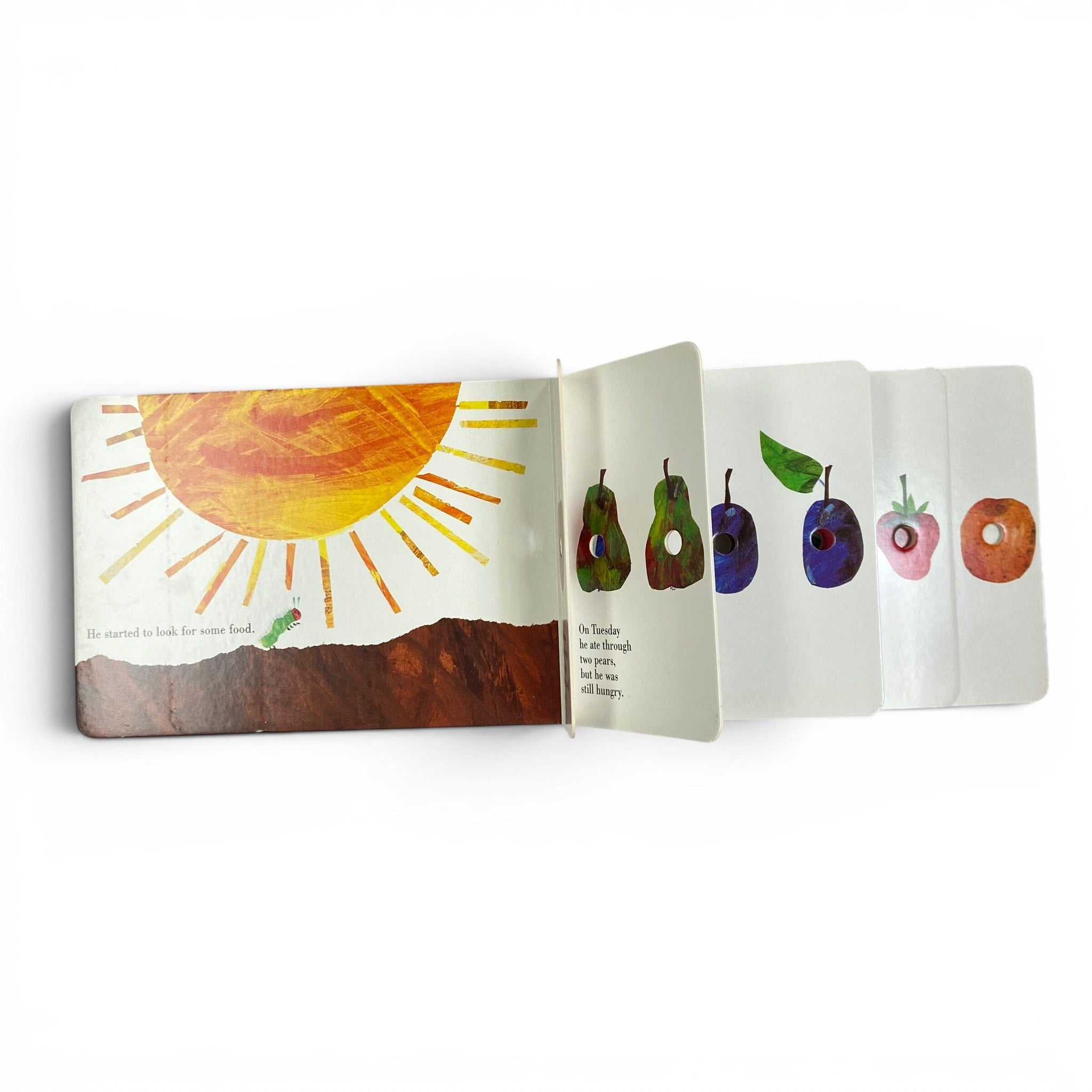 The Very Hungry Caterpillar Books Bundle by Eric Carle – TOYCYCLE