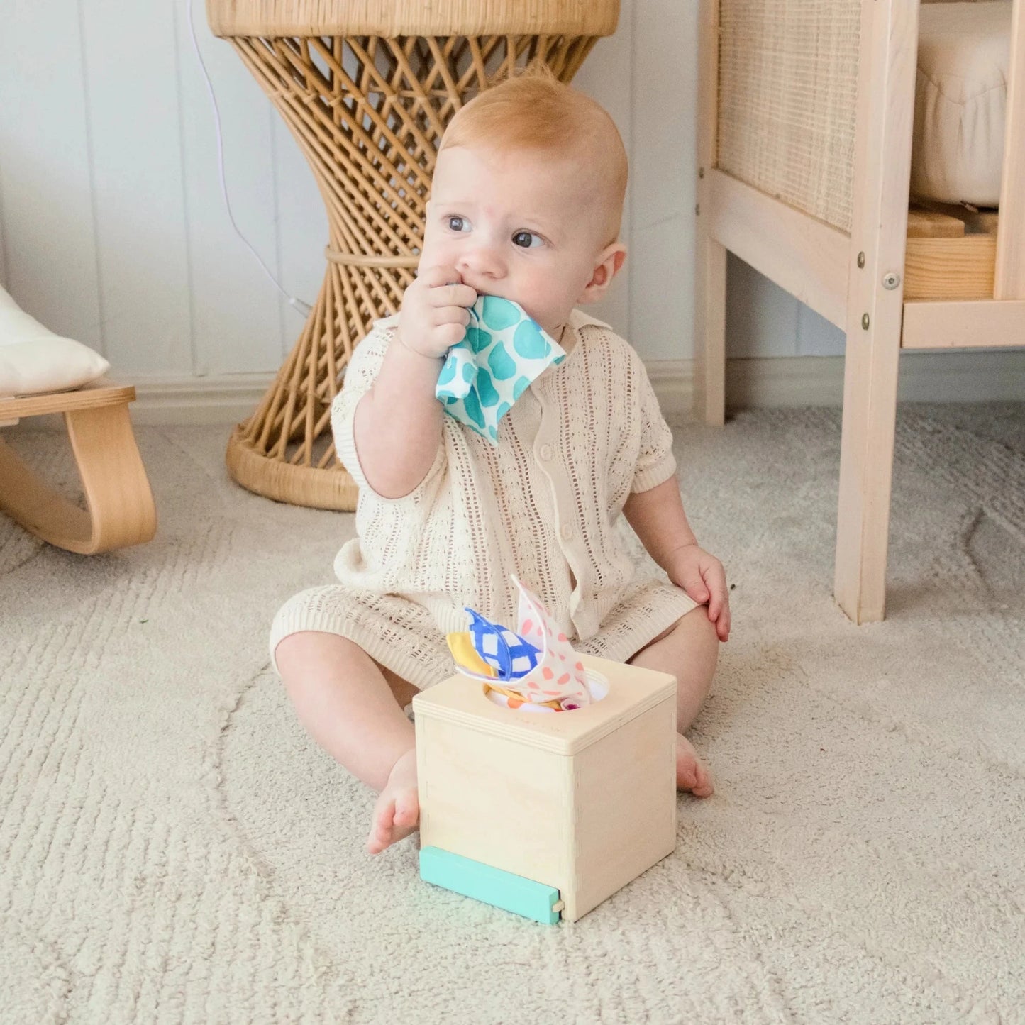 Tiny Land® Montessori Toys for Newborns (4–6 Months) 