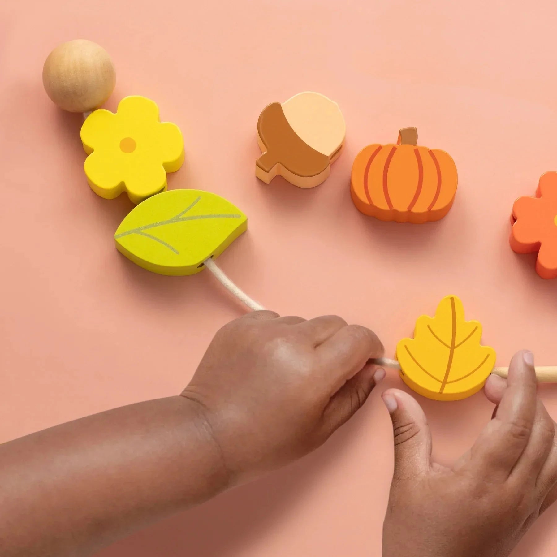 Tiny Land® Montessori Toys Set for Toddlers 18-24months wooden toys 