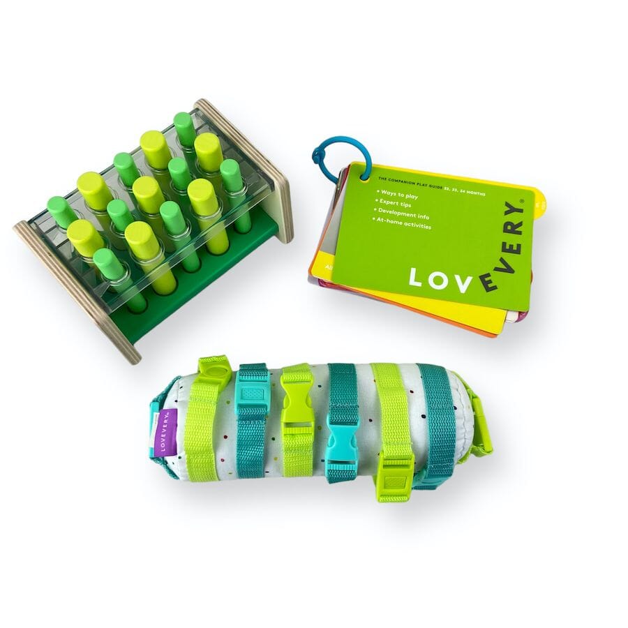 Lovevery - Toys from the Lovevery Companion Play Kit