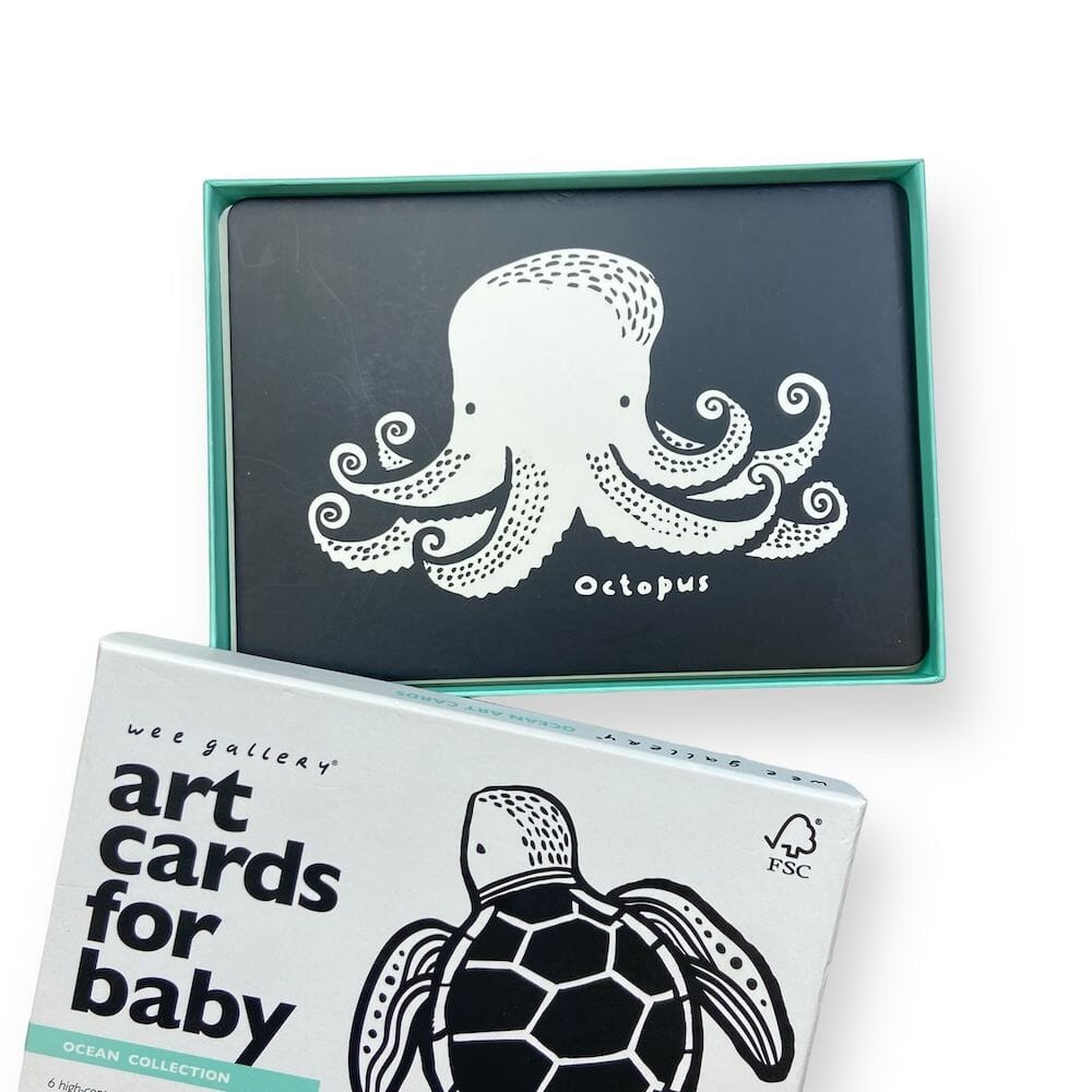 Wee Gallery Art Cards - Ocean Toys 