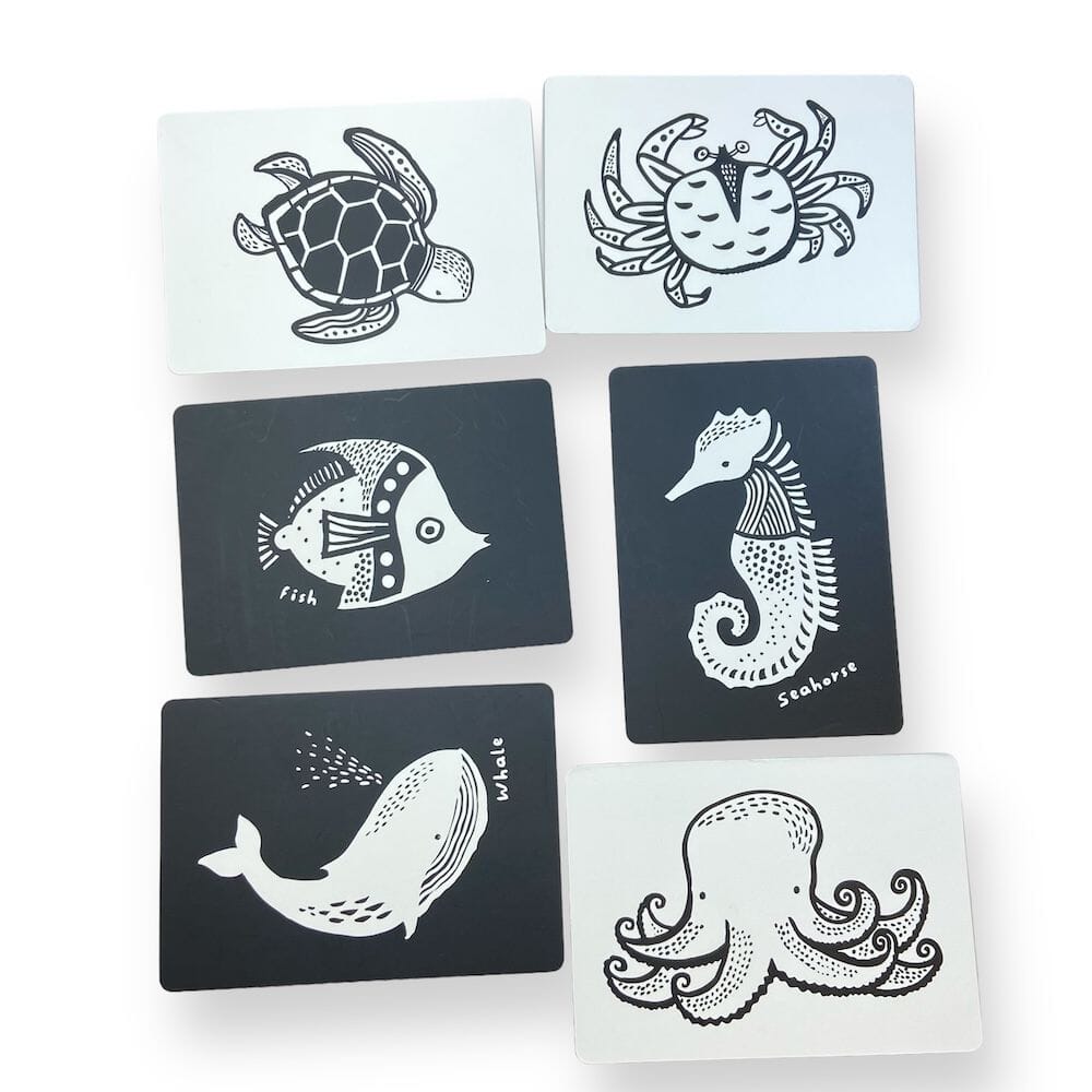 Wee Gallery Art Cards - Ocean Toys 