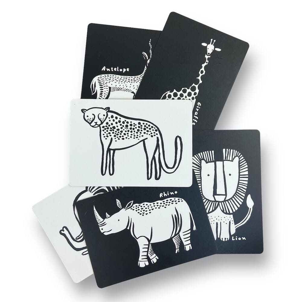 Mixed Brands - Wee Gallery & Petit Collage Bundle
