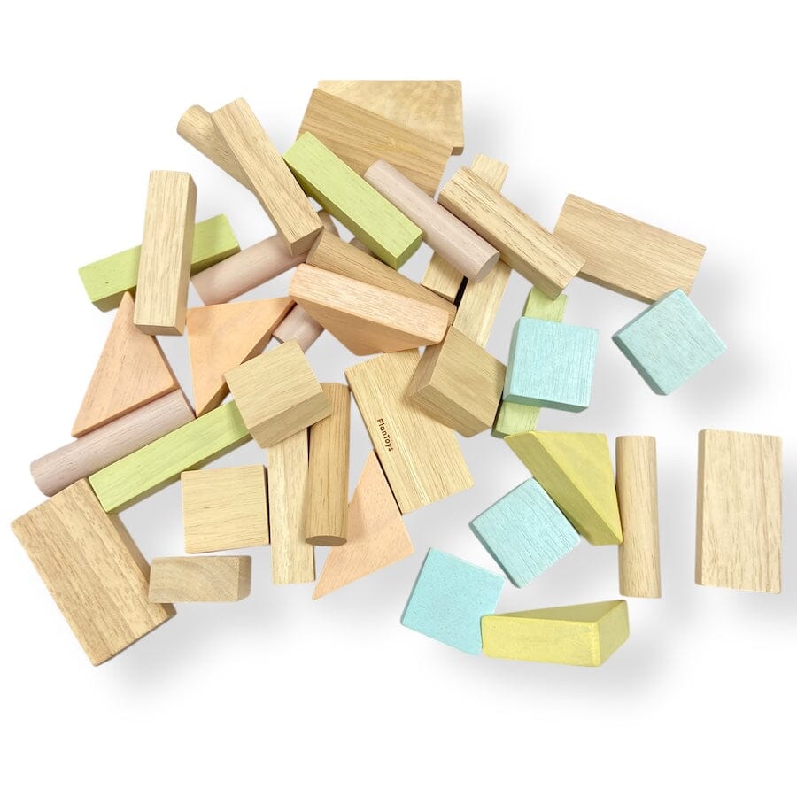 Wooden Building Blocks in Pastel Colors Toys 