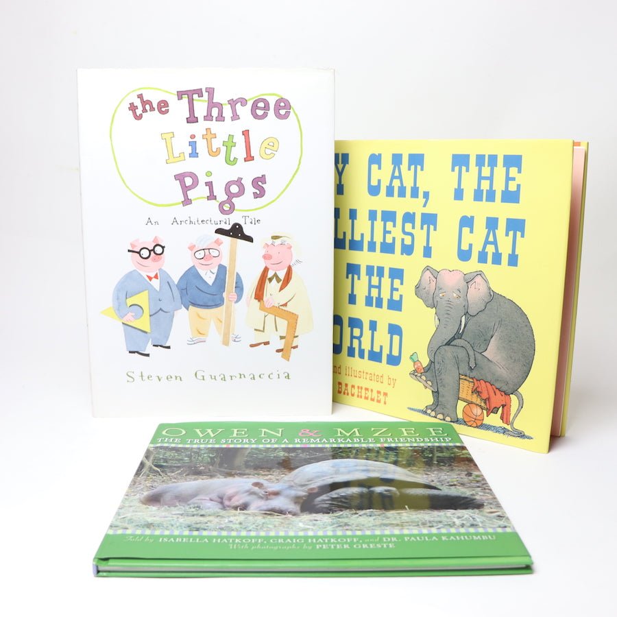 TOYCYCLE - All About Animals 3 - Book Set