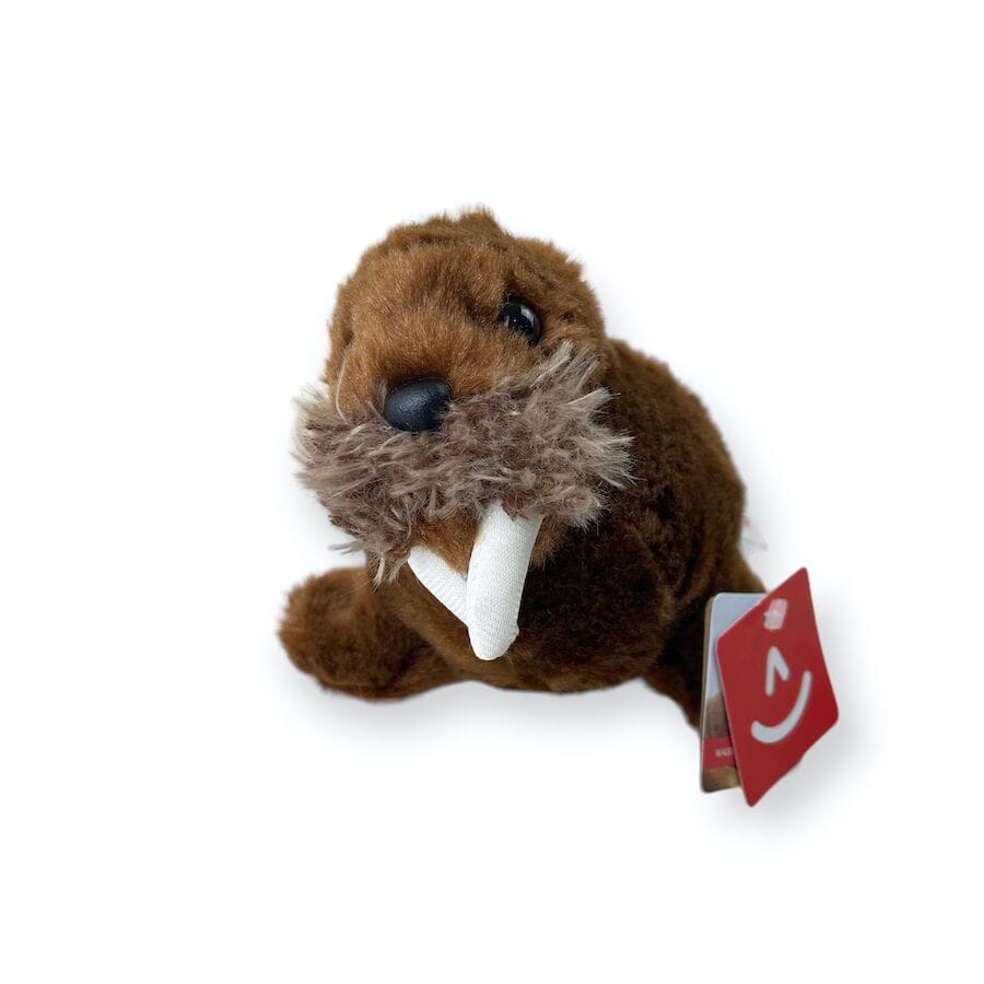 Aurora - Aurora 8" Mini Flopsie Walrus