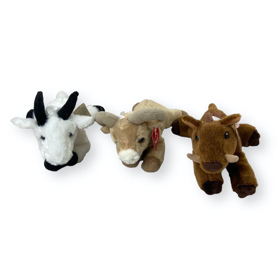 Aurora Plush Toy Bundle - Here Animals Toys 