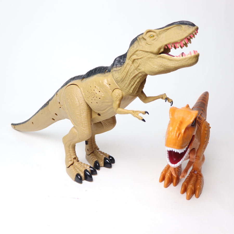 Battery-Operated T-Rex Set – TOYCYCLE