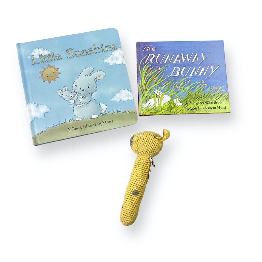Board Book and Rattle Bundle Books 