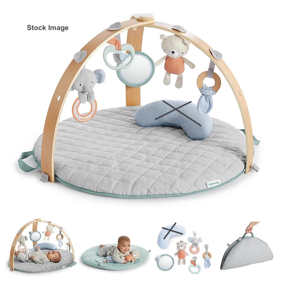 Ingenuity - Ingenuity Activity Gym Play Mat