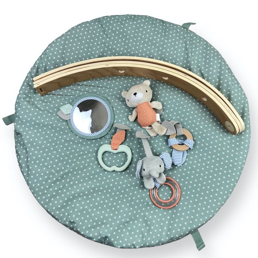 Ingenuity - Ingenuity Activity Gym Play Mat