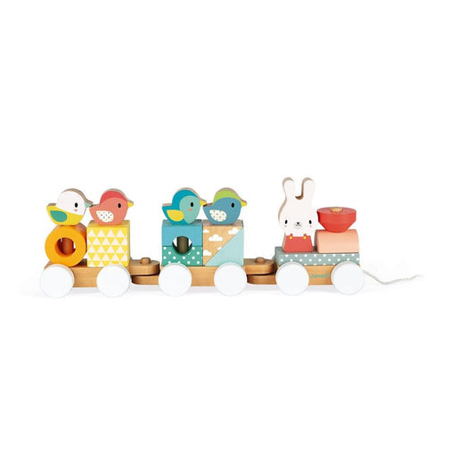 Janod Pure Train Toys 