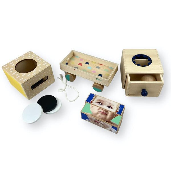 kiwico-panda-crate-explore-