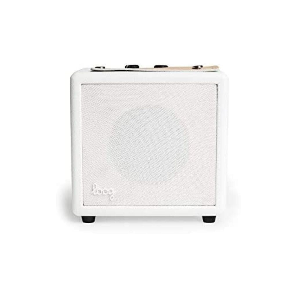 Loog Mini Amp Musical Instrument Amplifiers 