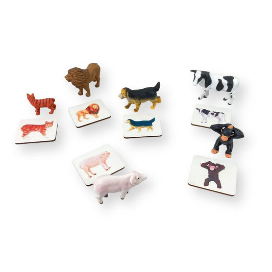 Lovevery Montessori Animal Match Toys 