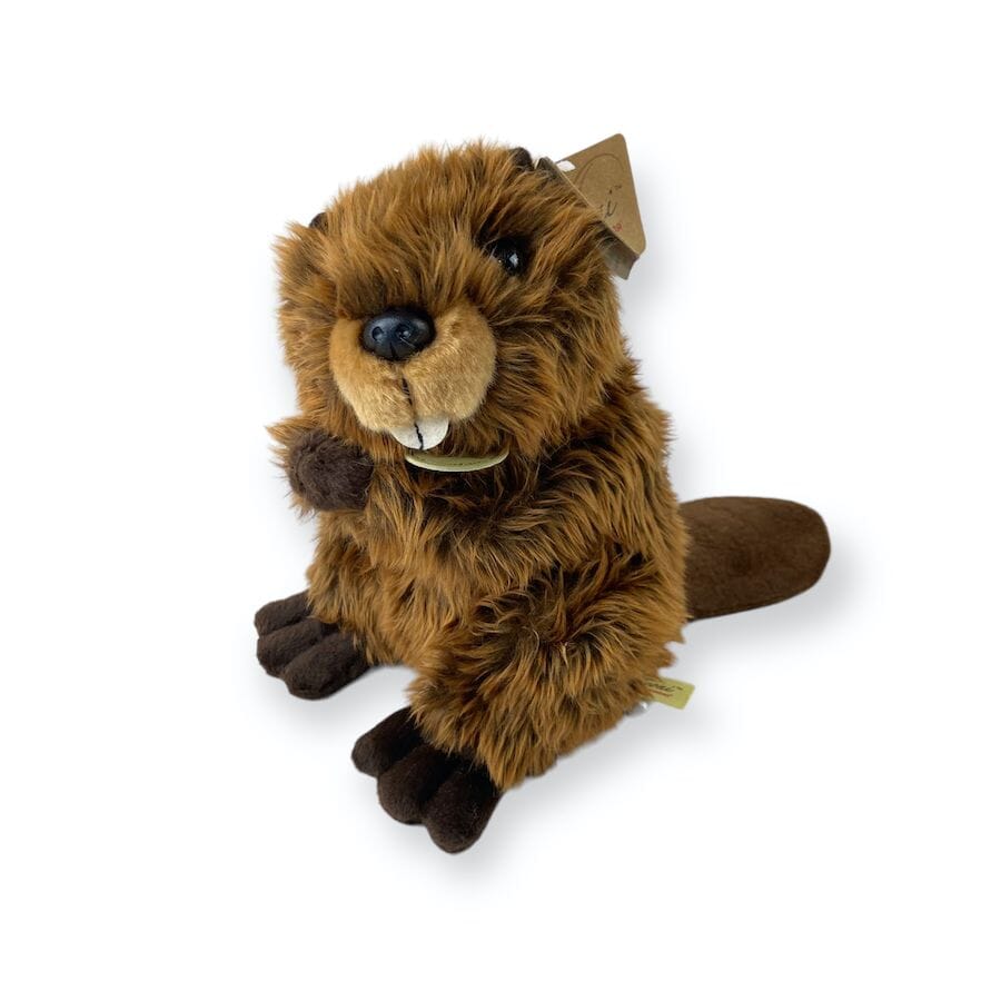 Miyoni - Miyoni 9" Beaver Plush Toy