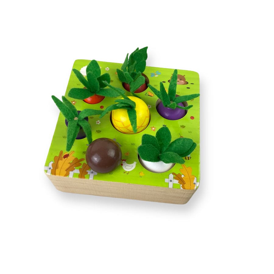 TOYCYCLE - Montessori Vegetable Set