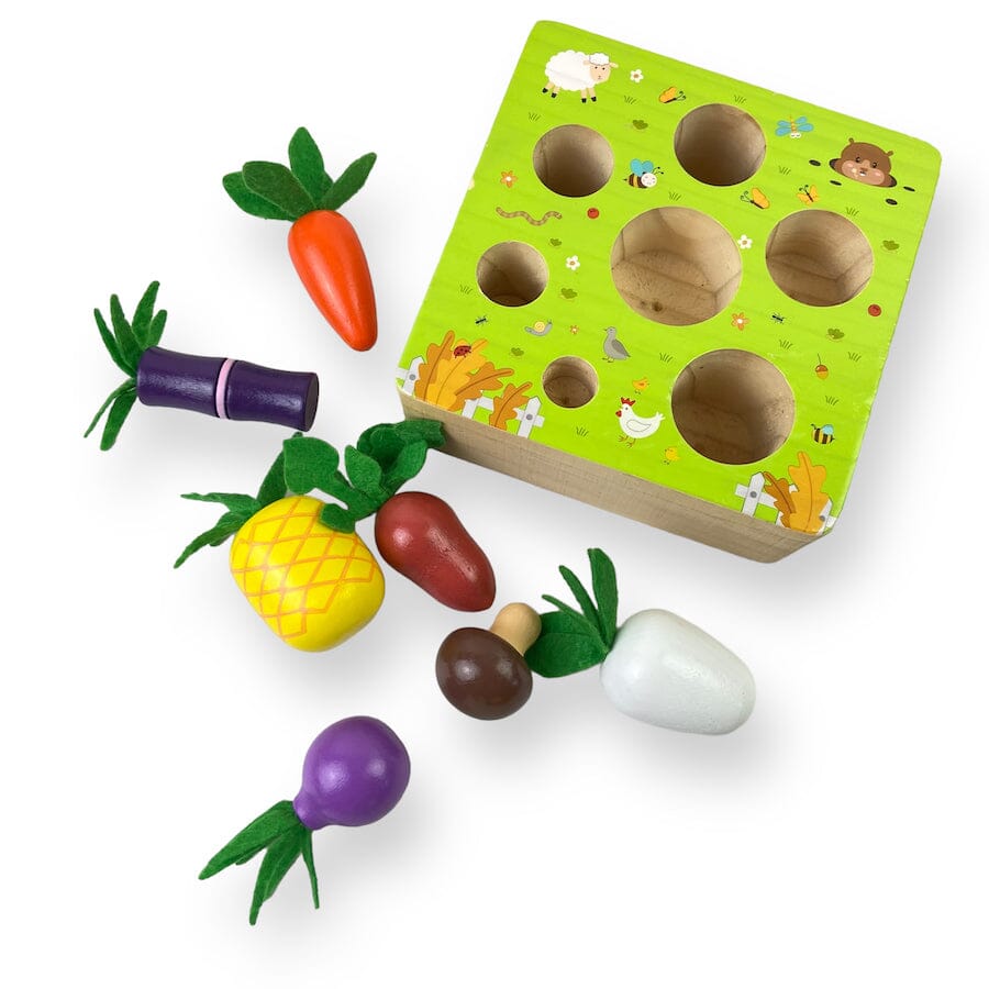 TOYCYCLE - Montessori Vegetable Set